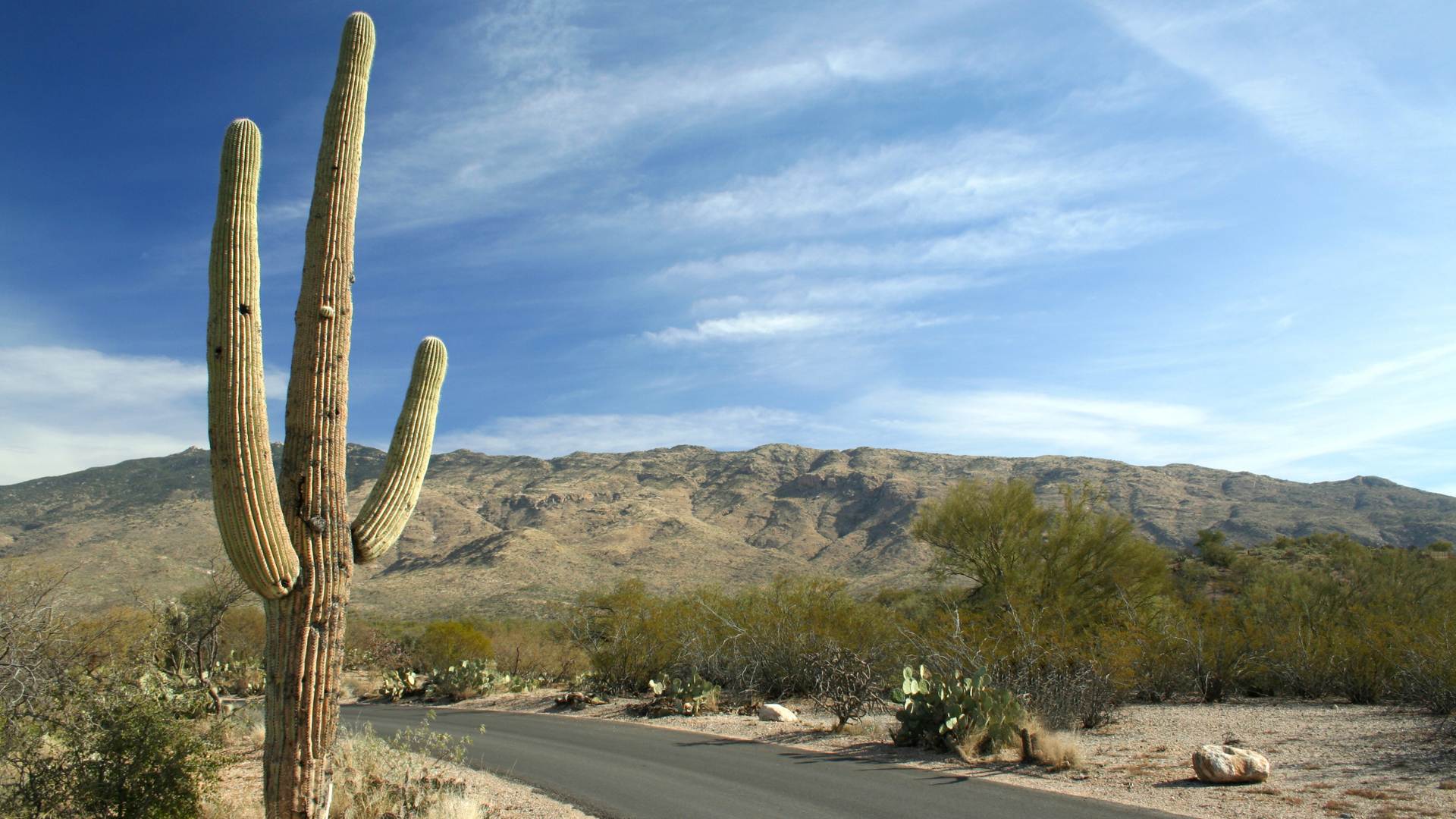 Tips for Protecting Your Car from Arizona's Extreme Heat